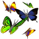 /Files/images/3DSVIT_animation_butterfly.gif